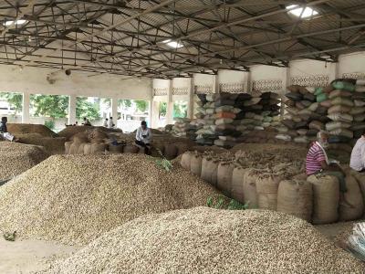 धान्य बाजार 