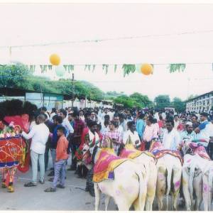 baila_pola__2_original