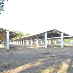 baila_bajara_gurance_seda_original